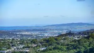 Movers Whangarei - Long Distance Movers to and from Auckland with Easy Move Furniture Removals.