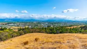 Moving to Blenheim – residential view of the town surrounded by hills and open fields