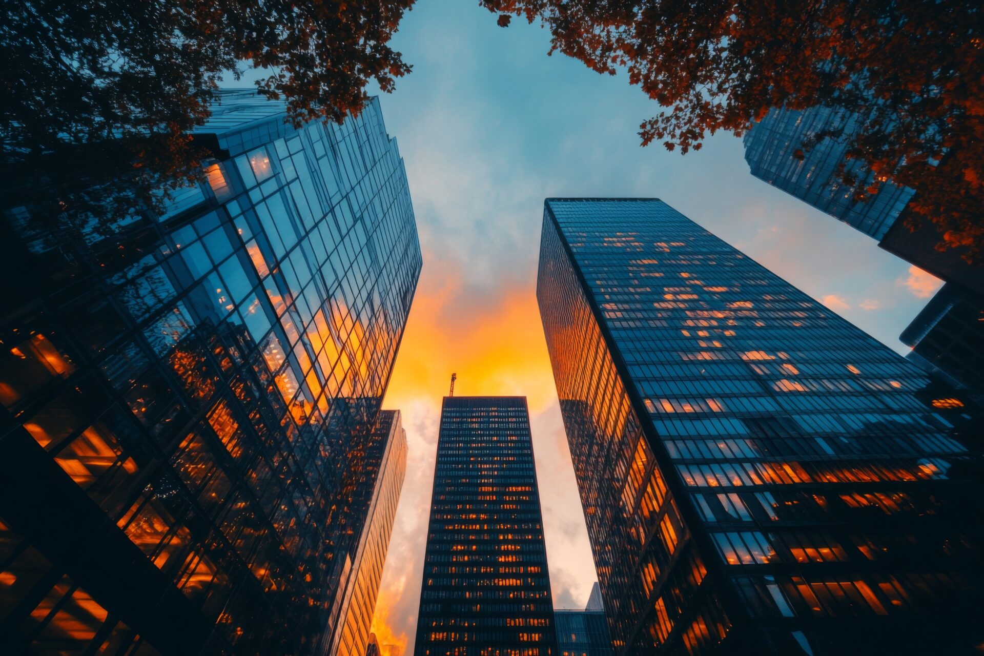 Auckland CBD office towers at sunset - commercial moving zone